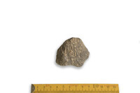 F 00006
          <br/>
          
          <br/>
          <em></em>